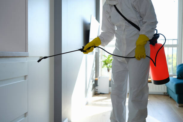 Best Mold Remediation for Specific Building Types in North Rock Springs, WY